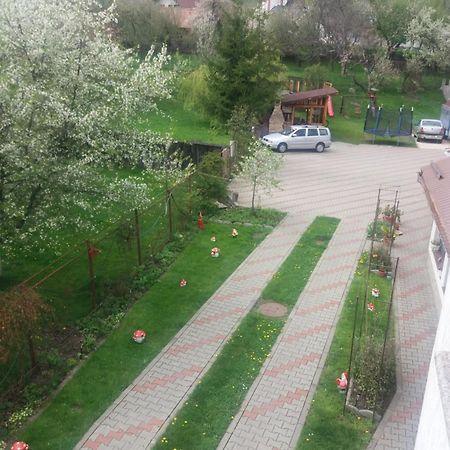 Hotel Casa Elena Moieciu de Jos Zewnętrze zdjęcie