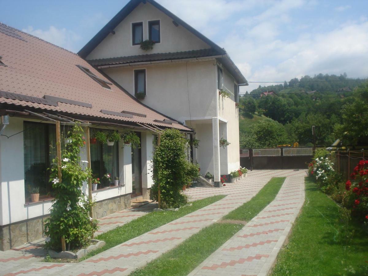 Hotel Casa Elena Moieciu de Jos Zewnętrze zdjęcie