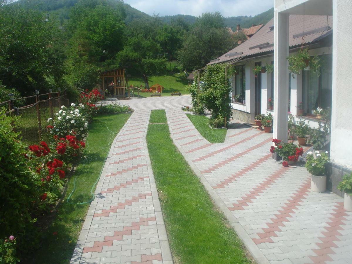 Hotel Casa Elena Moieciu de Jos Zewnętrze zdjęcie