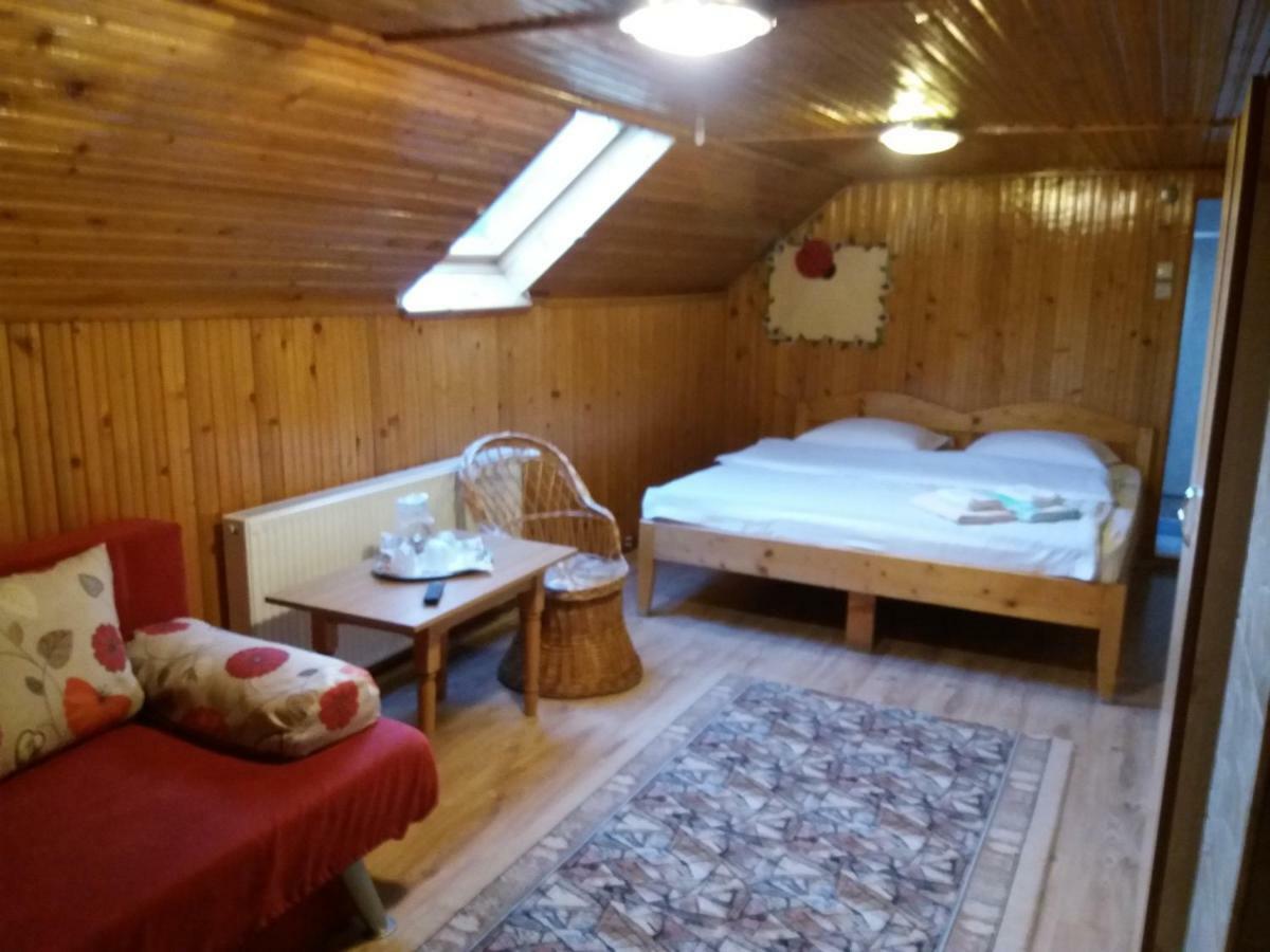 Hotel Casa Elena Moieciu de Jos Zewnętrze zdjęcie